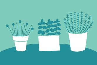 An illustration showing three plant pots, each with different herbs growing from them